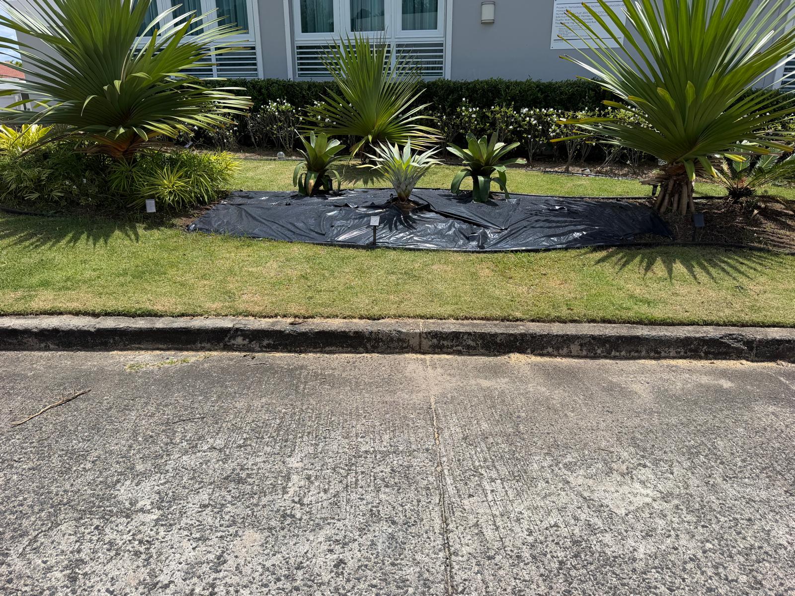 Antes